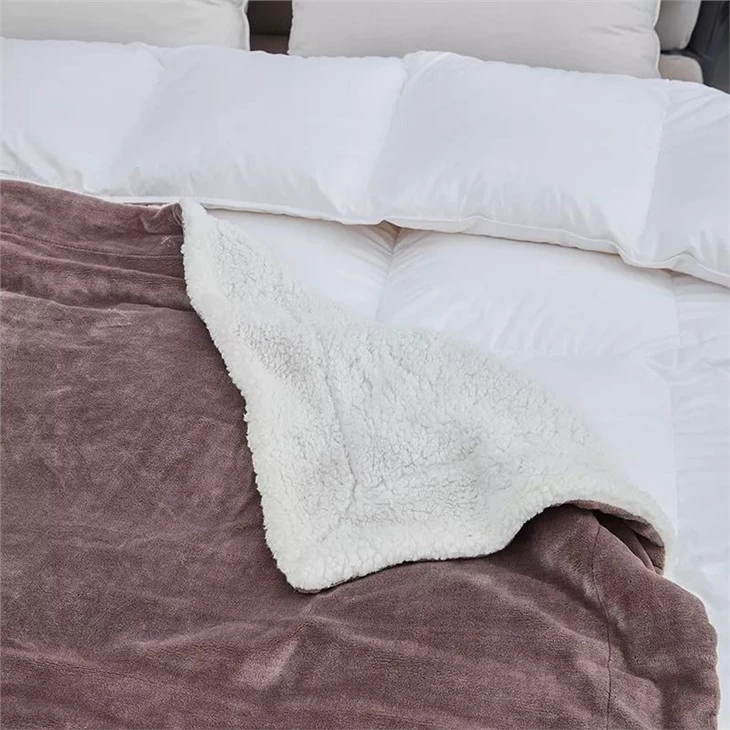 Sherpa Throw Blanket Free Sample