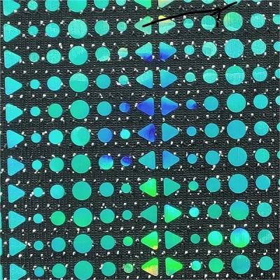 Teygja sequins efni